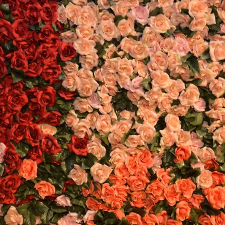 Western Net Tower Hotel Padwa