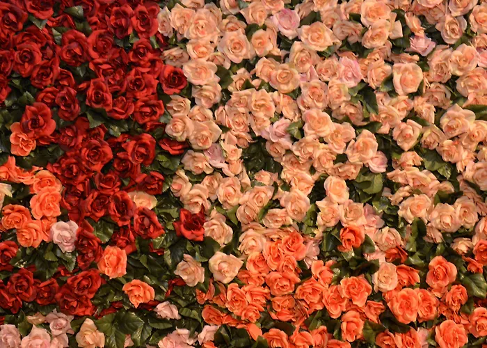 Western Net Tower Hotel Padoue